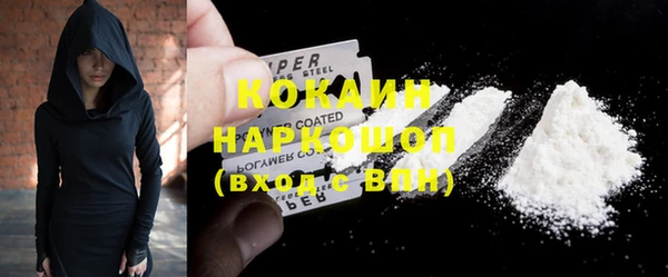 СК Няндома