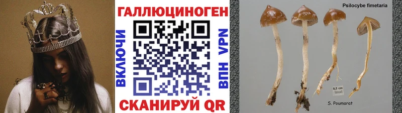 mega как войти  Межгорье  Псилоцибиновые грибы прущие грибы  хочу наркоту 